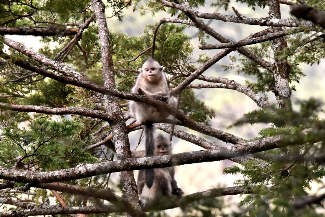 DSC_3238.JPG