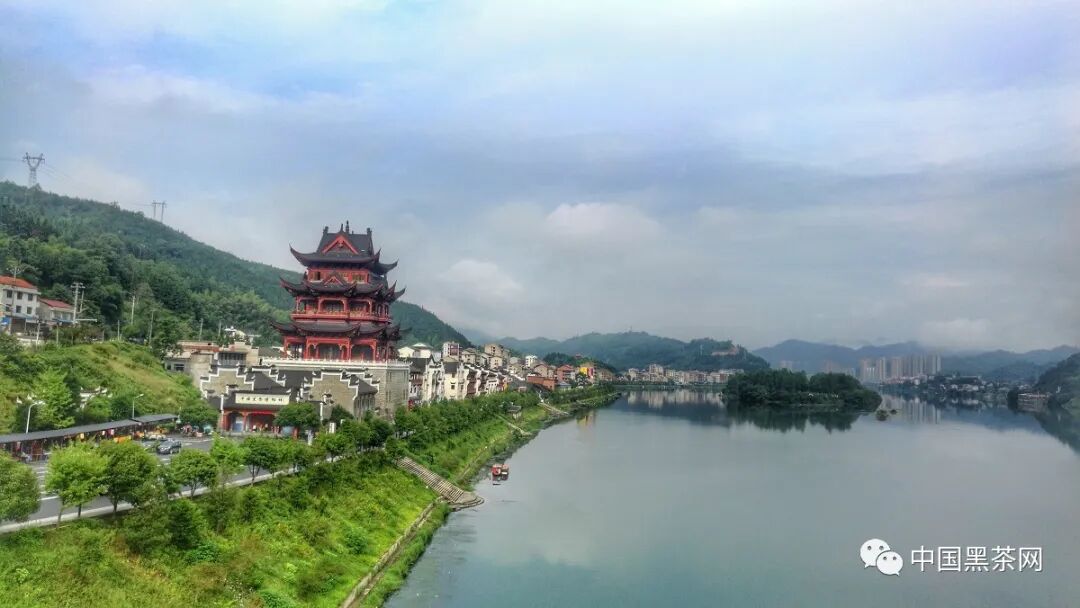 【视频】带你走进中国黑茶博物馆