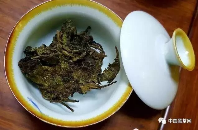 安化黑茶第几泡最好喝？