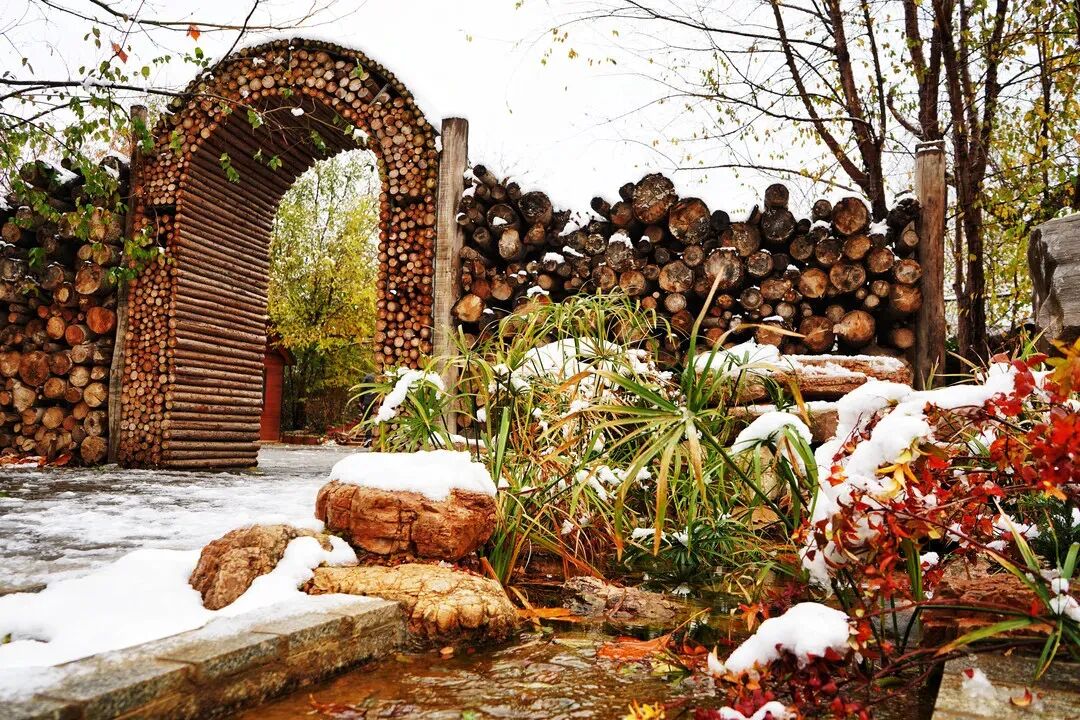 福山冬日打卡圣地①隅园变成了一座冰雪乐园