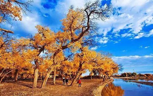 【醉美胡杨林】9月20日兰州、张掖七彩丹霞、额济纳旗胡杨林、巴丹吉林沙漠、 嘉峪关城楼、仙米彩林双飞8日游3999元