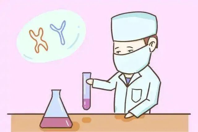 细胞分析检查什么细胞染色体核型分析检查真的重要吗？_https://www.jmylbn.com_新闻资讯_第5张