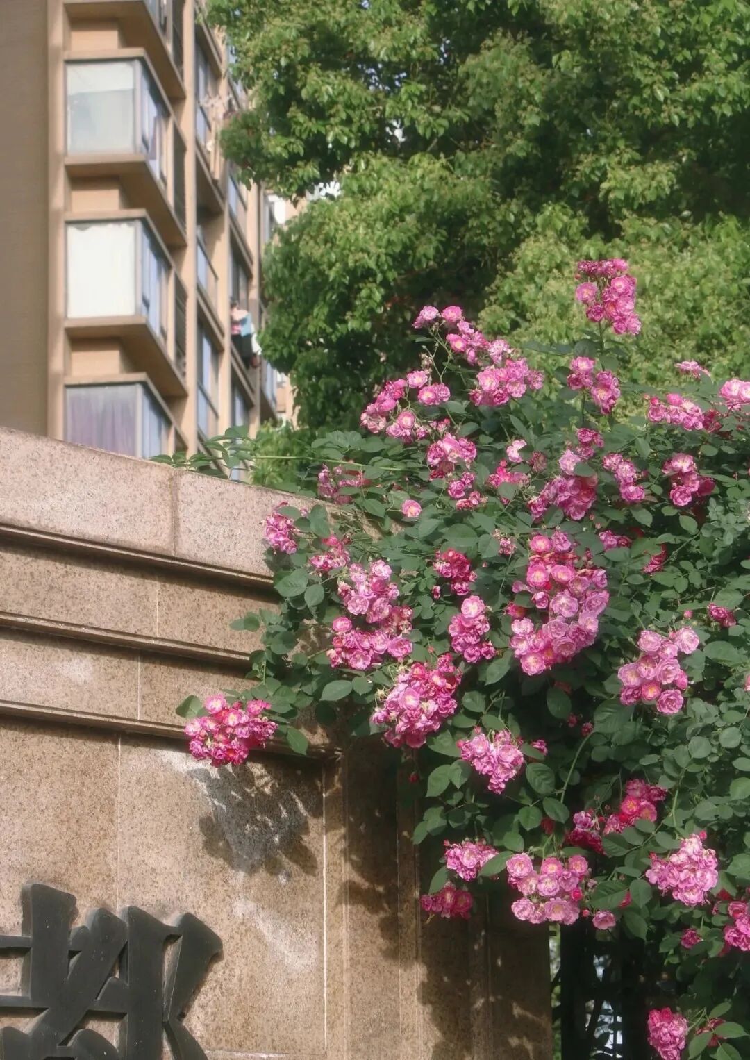 微信图片_20260430162356_1658_105.jpg