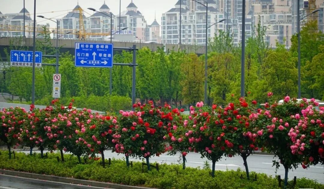 微信图片_20260430154621_1647_105.jpg