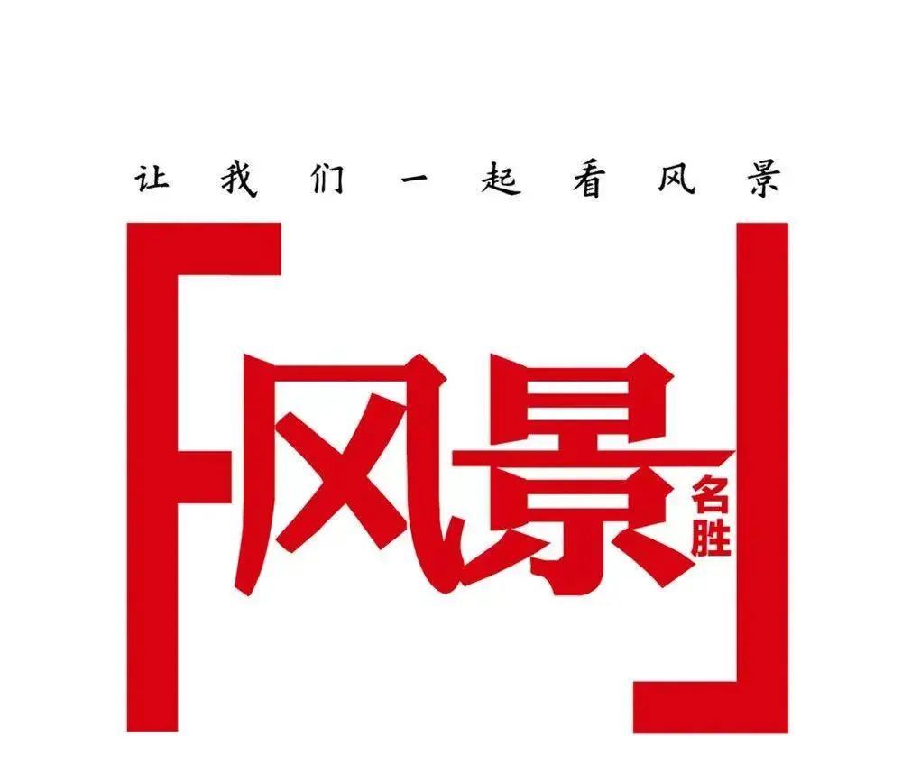 白樺林木地板|來(lái)呼倫貝爾開(kāi)啟奇妙的童話(huà)之冬！