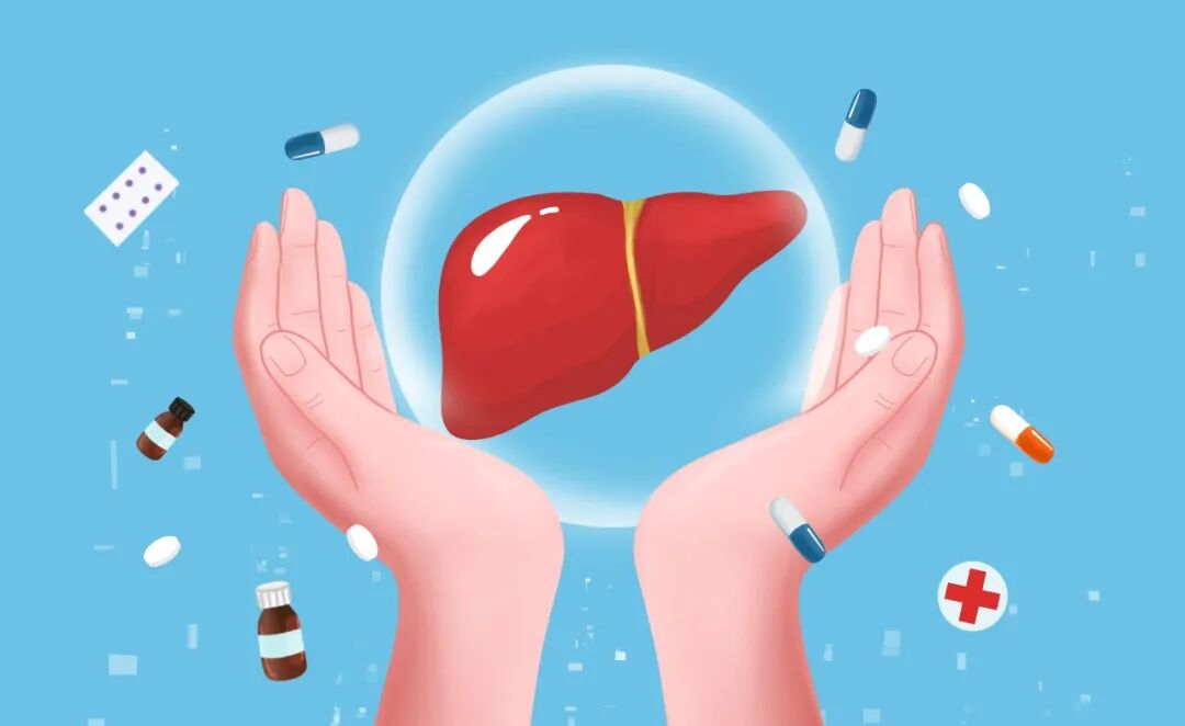 摄图网_401904882_双手保护肝脏（企业商用）.jpg