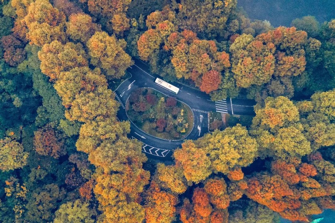 西湖近照美翻啦！打卡3條經典騎行拍照路線，絕對驚艷朋友圈 旅遊 第5張