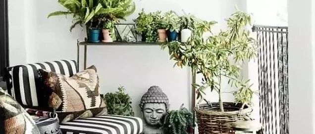 家里装个阳台花园，朋友来了都不愿意待在客厅！