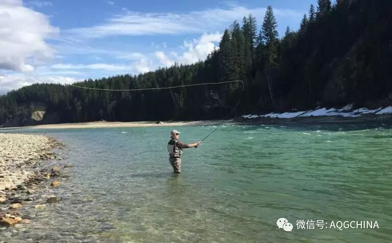 BC省戈尔登庆祝历史和传统，在加拿大150周年迎来越秀体验生