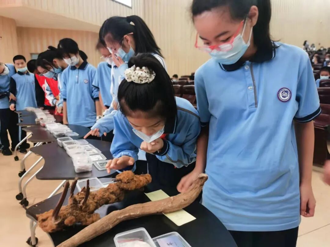 弘扬中药国粹，传承中药文化——厦门市药学会2021年“全国安全用药月”用药科普进校园(图3)