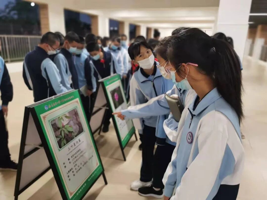 弘扬中药国粹，传承中药文化——厦门市药学会2021年“全国安全用药月”用药科普进校园(图6)