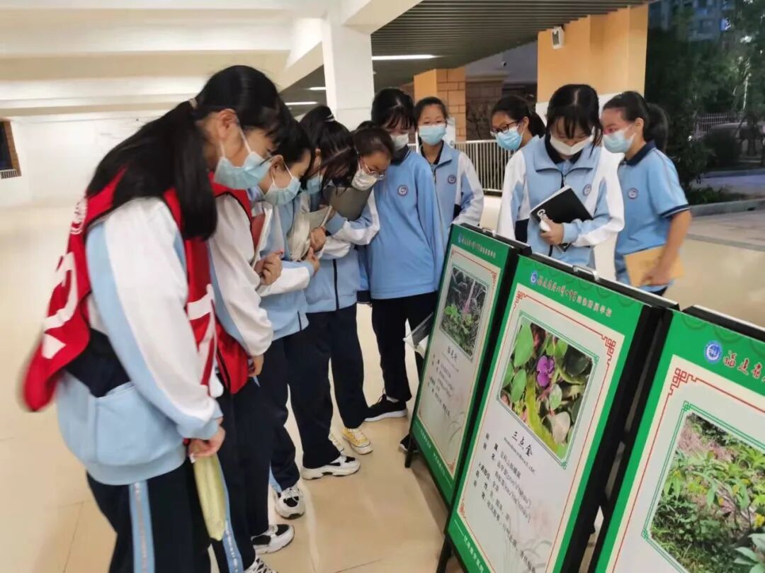 弘扬中药国粹，传承中药文化——厦门市药学会2021年“全国安全用药月”用药科普进校园(图5)