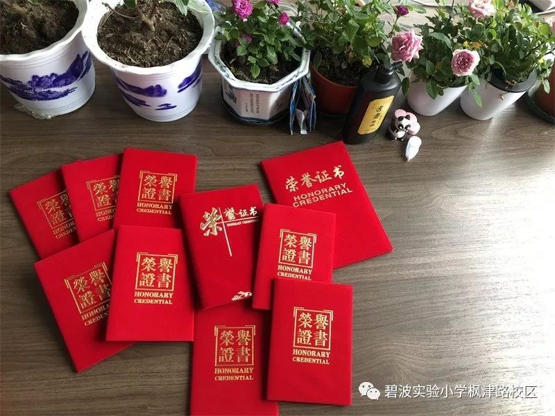 经验优势是什么意思_优质经验作用_优异经验