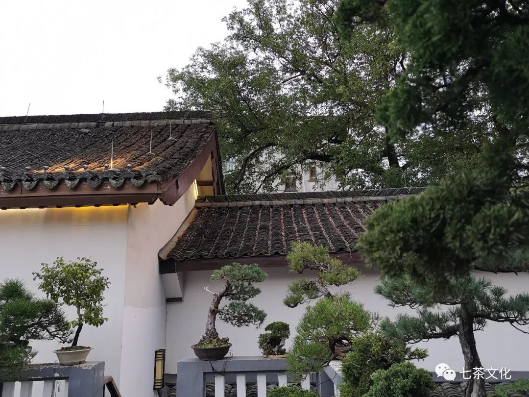 假期最适合喝点小茶，发会闲呆