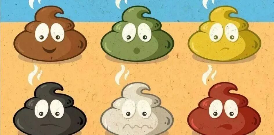 化验大便怎么采集大便化验，如何正确收集标本？_https://www.jmylbn.com_新闻资讯_第5张