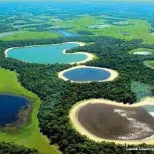 潘塔纳尔湿地_百度百科