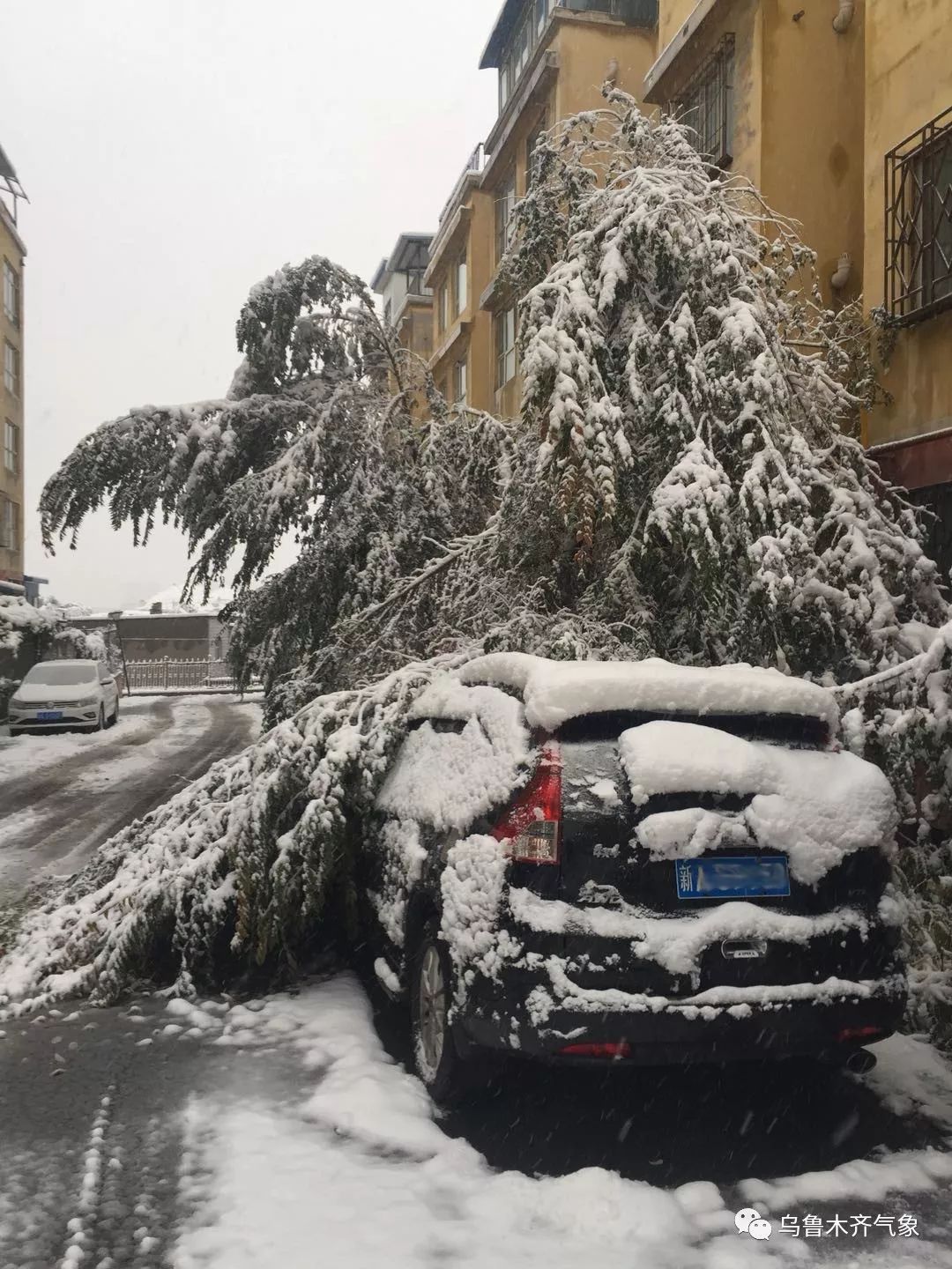 暴雪後...... 遊戲 第6張