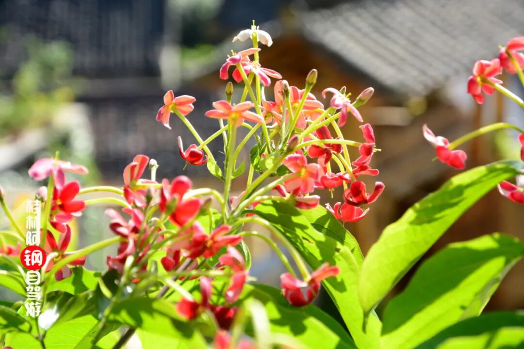 旅游达人私藏的绝美日落小众打卡地！还能夜观星空，看相公山日出，这份攻略拿好