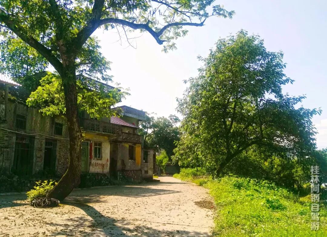 桂林全州伍家月亮湾玩水玩沙、采摘烧烤，带你回到童年的外婆家！