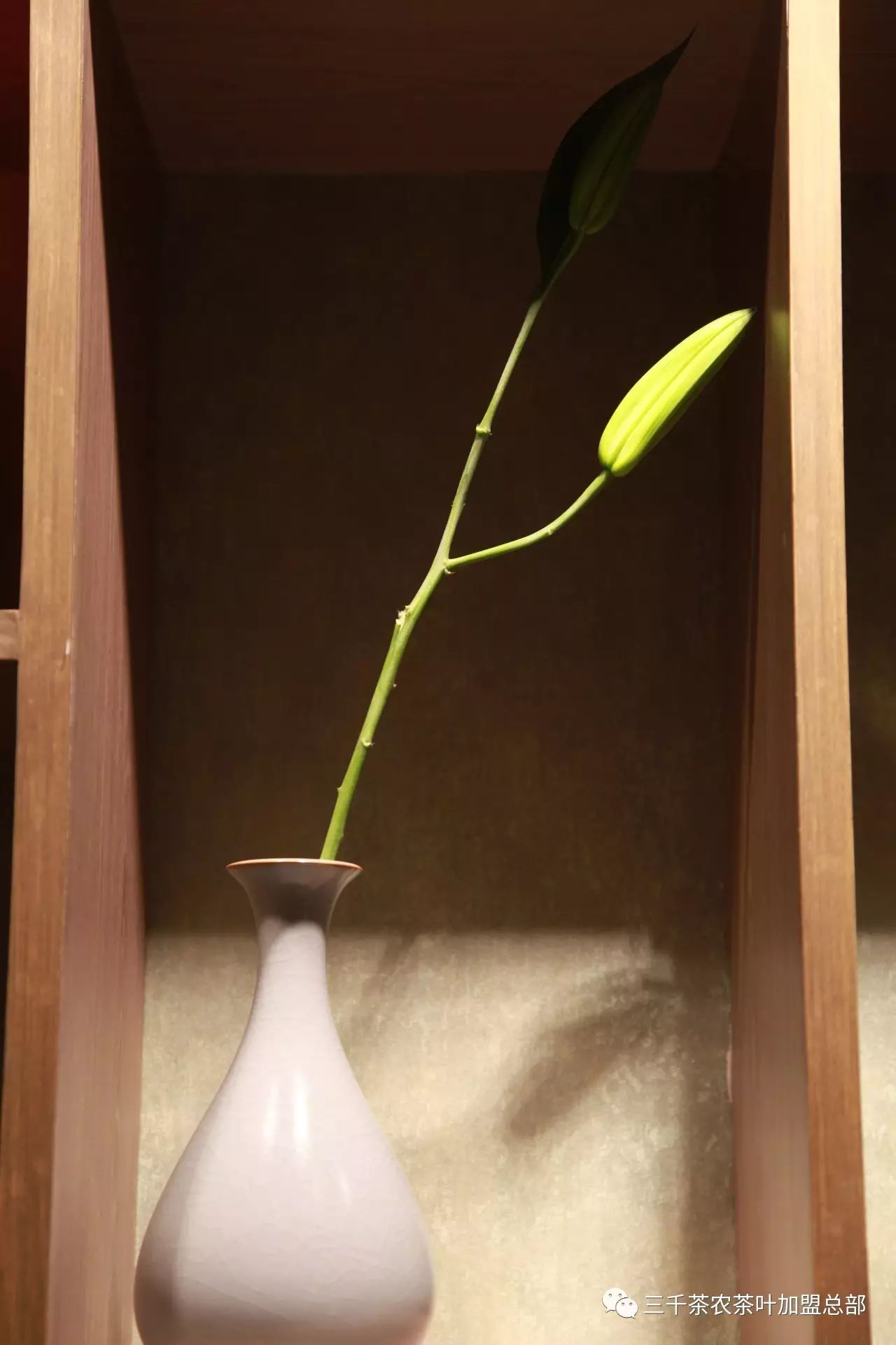茶如人生,淡雅一世