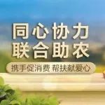 【助农】武隆酸辣粉、贵州刺梨汁…领券购地道特产