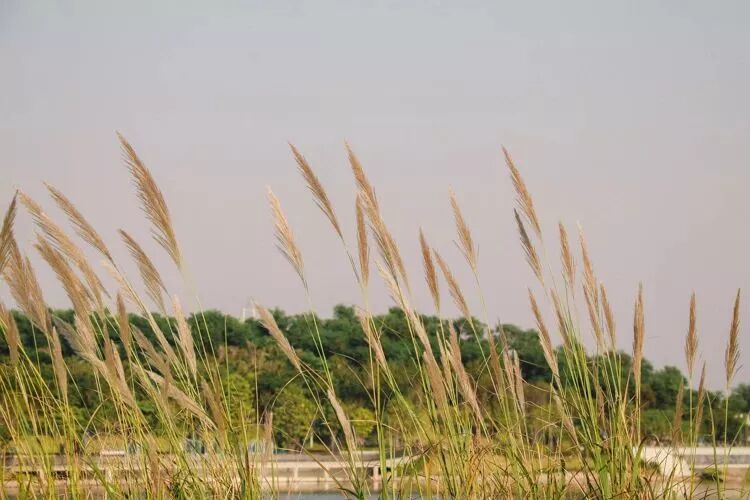 不争辩，是一个人深到骨子里的修养