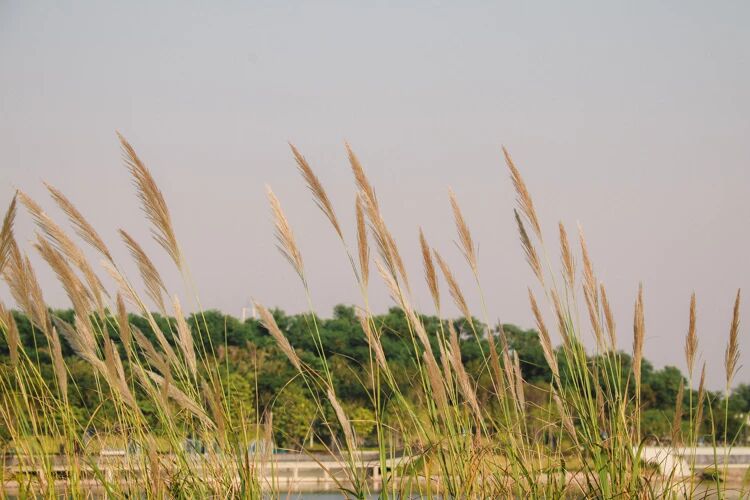 得力干将，多是有“体系”的人