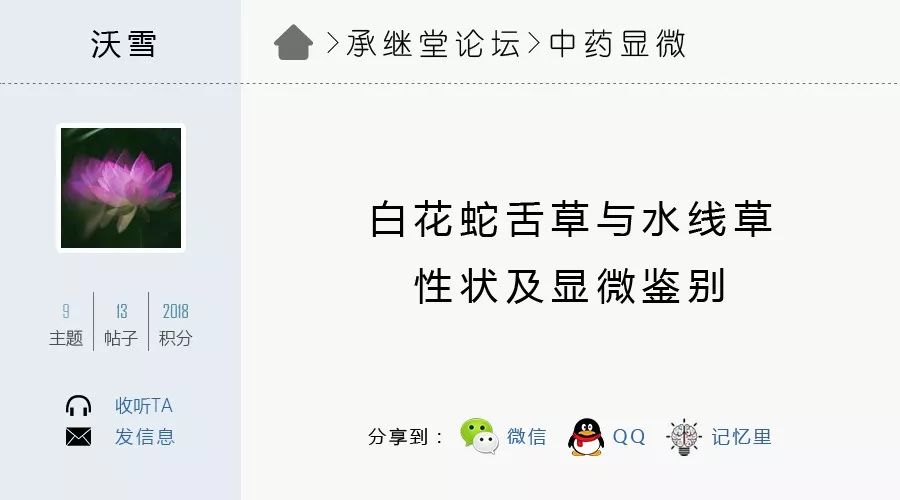 白花蛇舌草与水线草的性状及显微鉴别 承继堂 微信公众号文章阅读 Wemp