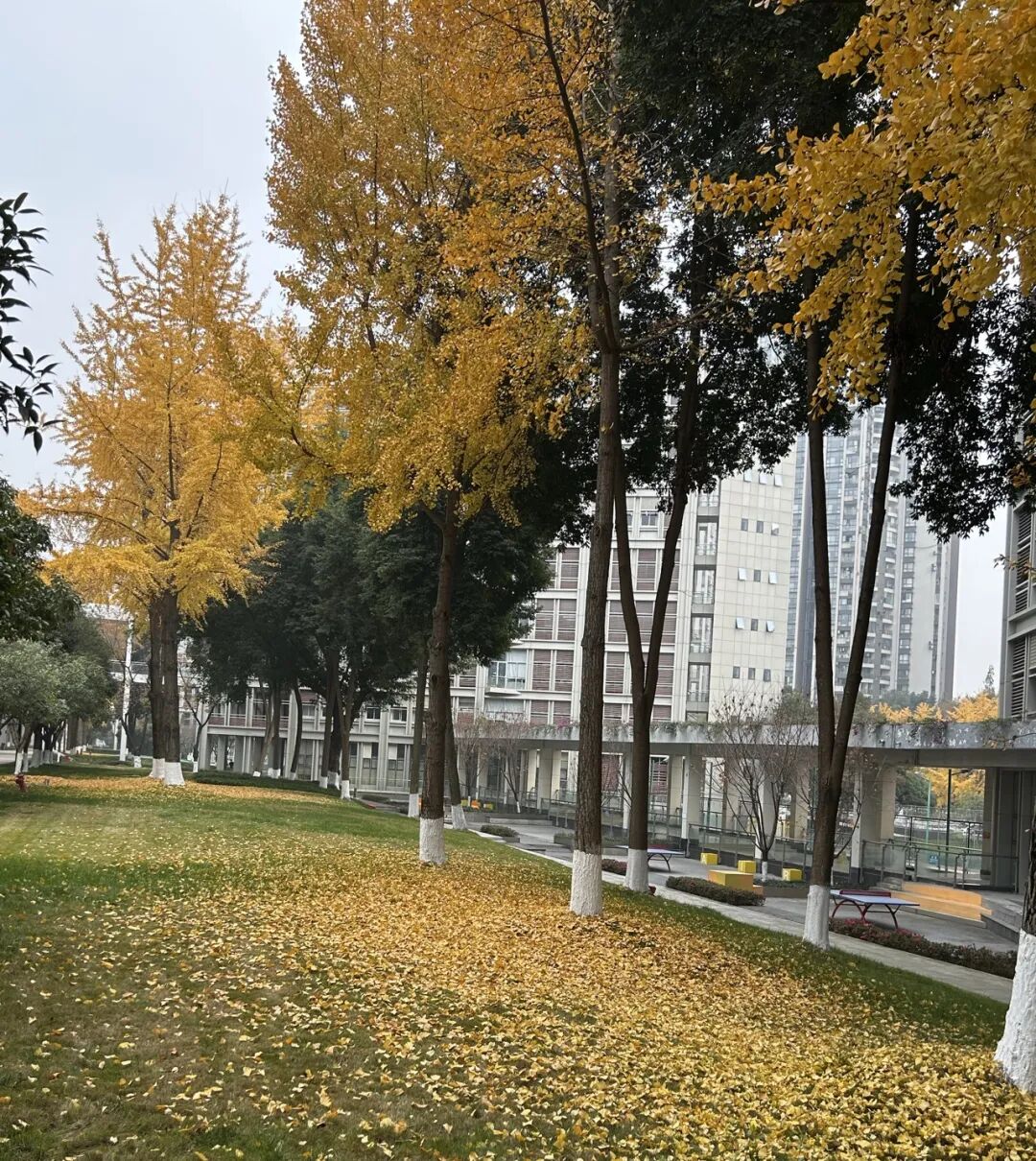 你可能从来没有算过，银行客服让你信用卡分期，实际利率几何？看了文章后，你再决定以..