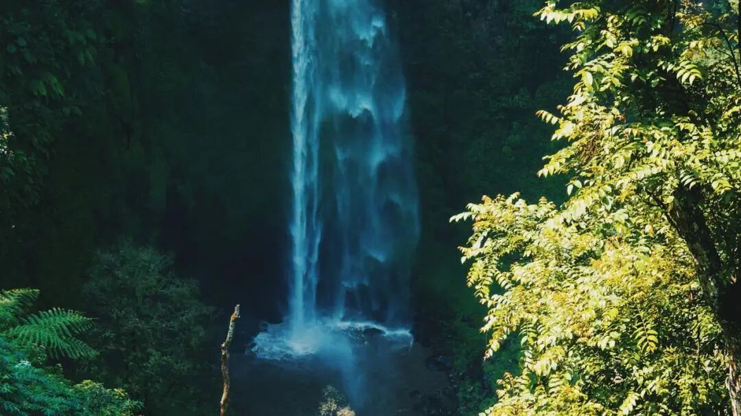 640?wx_fmt=jpeg&tp=webp&wxfrom=5&wx_lazy=1&wx_co=1