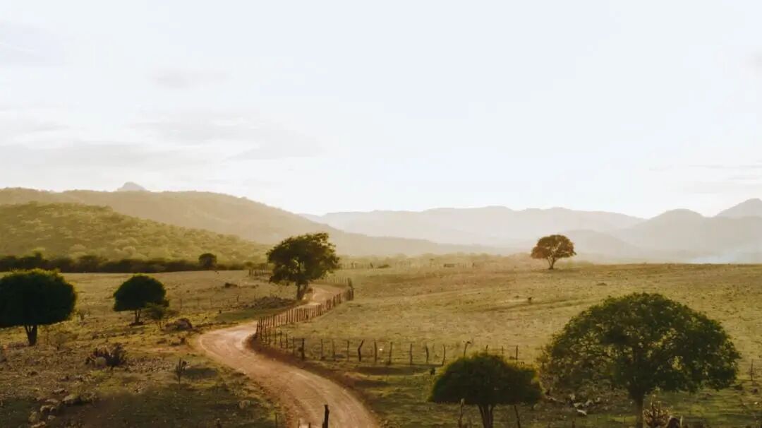 640?wx_fmt=jpeg&tp=webp&wxfrom=5&wx_lazy=1&wx_co=1