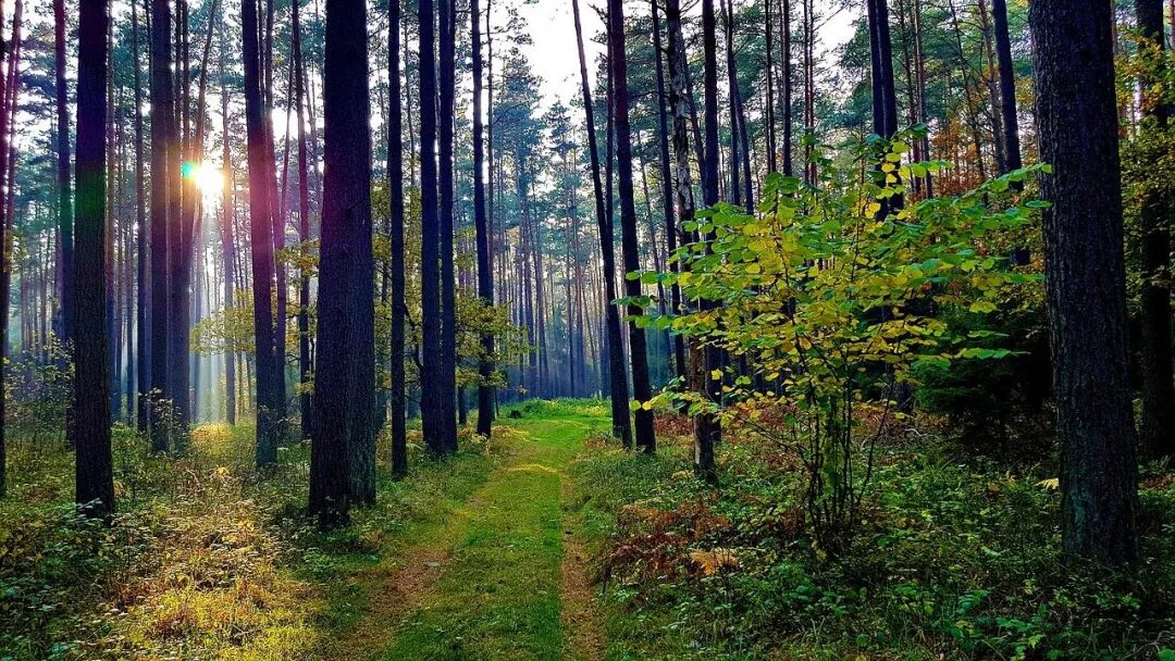 640?wx_fmt=jpeg&tp=webp&wxfrom=5&wx_lazy=1&wx_co=1