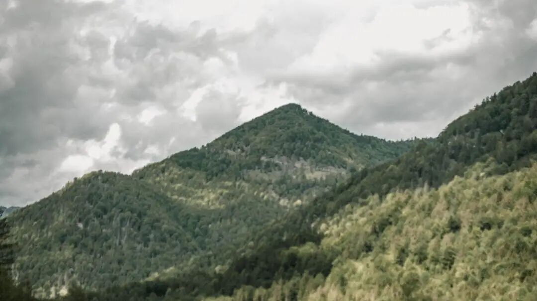 640?wx_fmt=jpeg&tp=webp&wxfrom=5&wx_lazy=1&wx_co=1