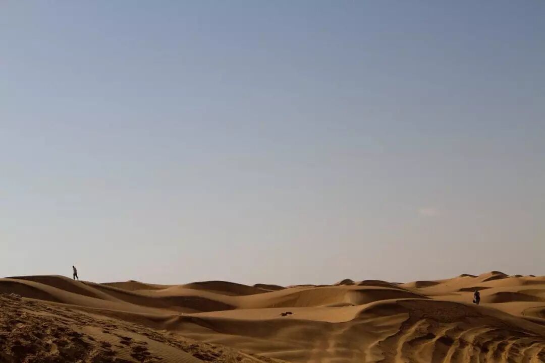 640?wx_fmt=jpeg&tp=webp&wxfrom=5&wx_lazy=1&wx_co=1