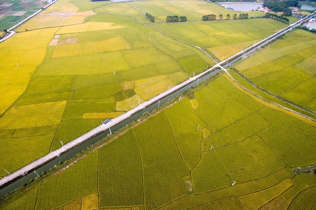 640?wx_fmt=jpeg&tp=webp&wxfrom=5&wx_lazy=1&wx_co=1