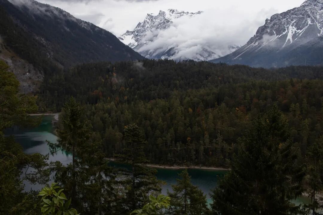 640?wx_fmt=jpeg&tp=webp&wxfrom=5&wx_lazy=1&wx_co=1