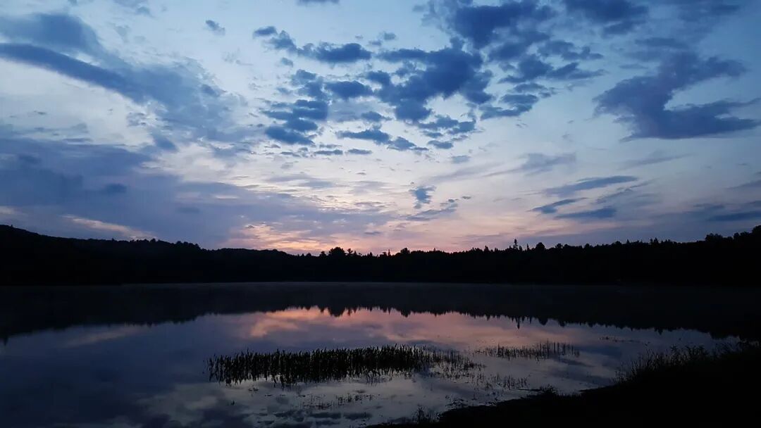 640?wx_fmt=jpeg&tp=webp&wxfrom=5&wx_lazy=1&wx_co=1