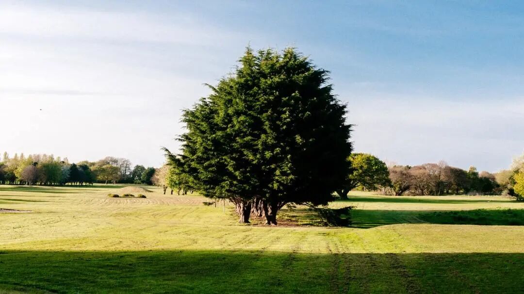 640?wx_fmt=jpeg&tp=webp&wxfrom=5&wx_lazy=1&wx_co=1