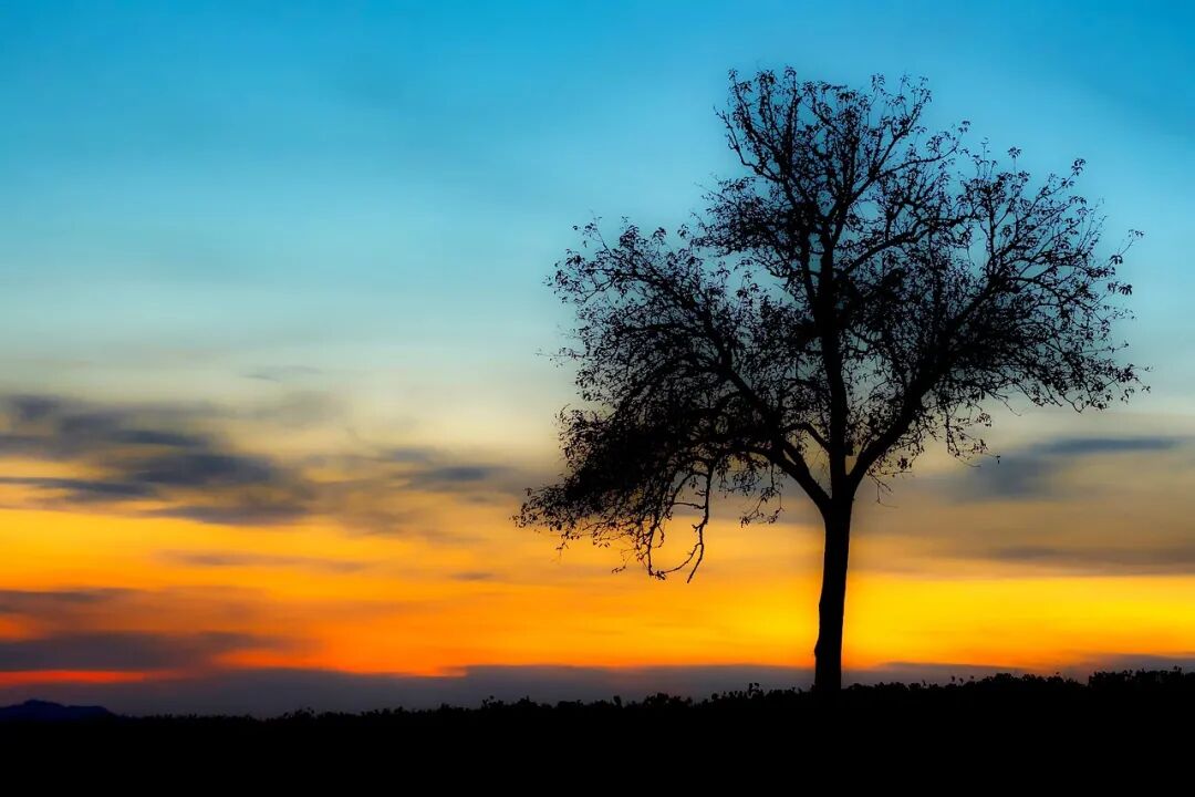 640?wx_fmt=jpeg&tp=webp&wxfrom=5&wx_lazy=1&wx_co=1