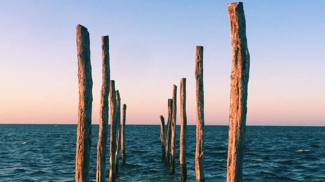 640?wx_fmt=jpeg&tp=webp&wxfrom=5&wx_lazy=1&wx_co=1