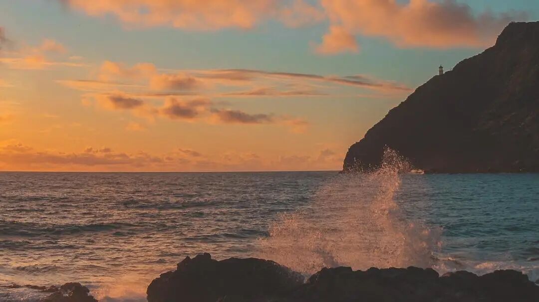 640?wx_fmt=jpeg&tp=webp&wxfrom=5&wx_lazy=1&wx_co=1