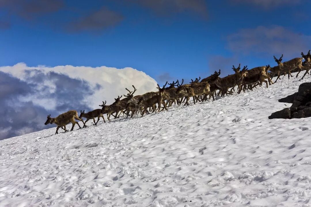 640?wx_fmt=jpeg&tp=webp&wxfrom=5&wx_lazy=1&wx_co=1