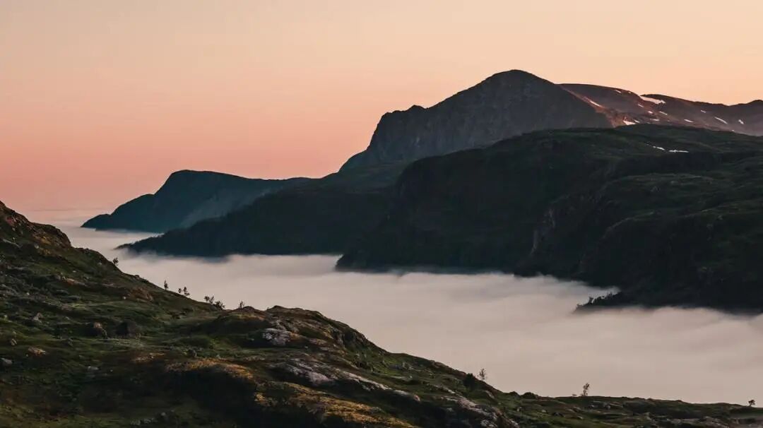 640?wx_fmt=jpeg&tp=webp&wxfrom=5&wx_lazy=1&wx_co=1