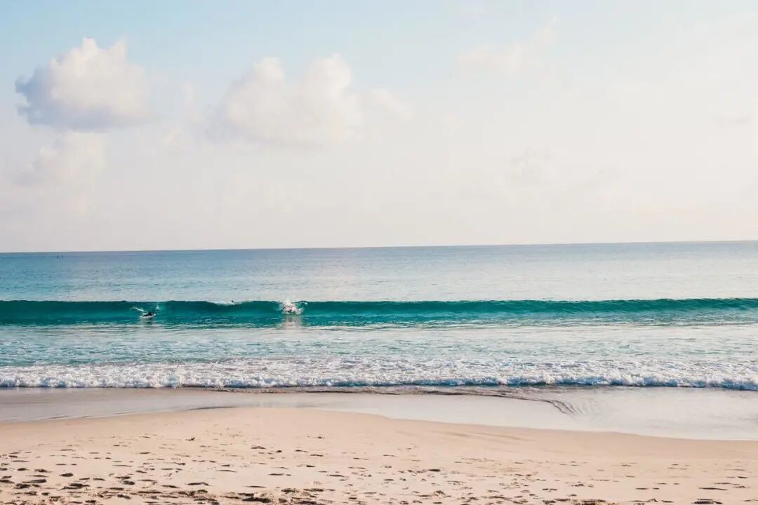 640?wx_fmt=jpeg&tp=webp&wxfrom=5&wx_lazy=1&wx_co=1