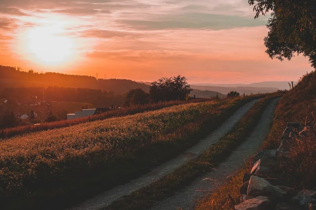 640?wx_fmt=jpeg&tp=webp&wxfrom=5&wx_lazy=1&wx_co=1