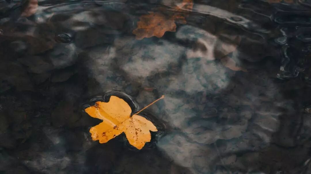 640?wx_fmt=jpeg&tp=webp&wxfrom=5&wx_lazy=1&wx_co=1