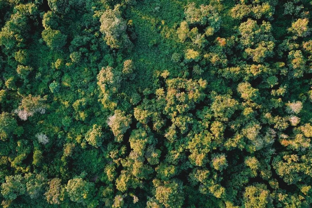 640?wx_fmt=jpeg&tp=webp&wxfrom=5&wx_lazy=1&wx_co=1