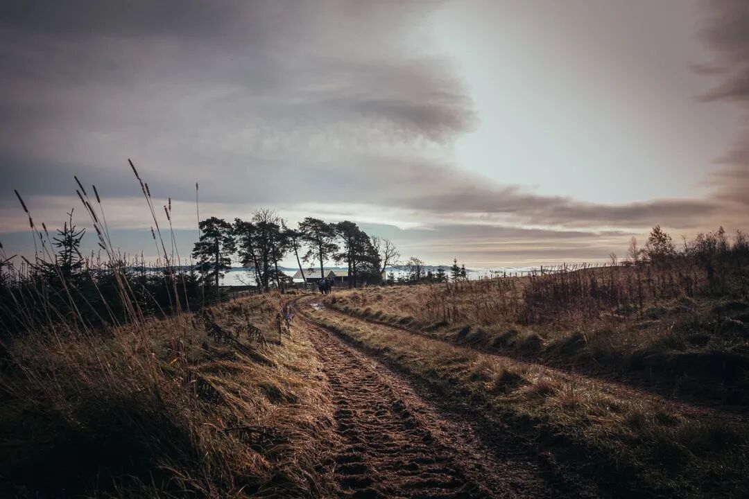 640?wx_fmt=jpeg&tp=webp&wxfrom=5&wx_lazy=1&wx_co=1