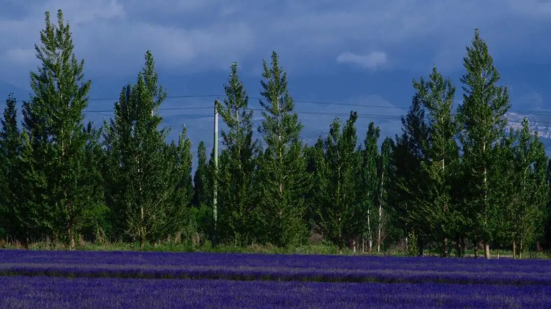 640?wx_fmt=jpeg&tp=webp&wxfrom=5&wx_lazy=1&wx_co=1