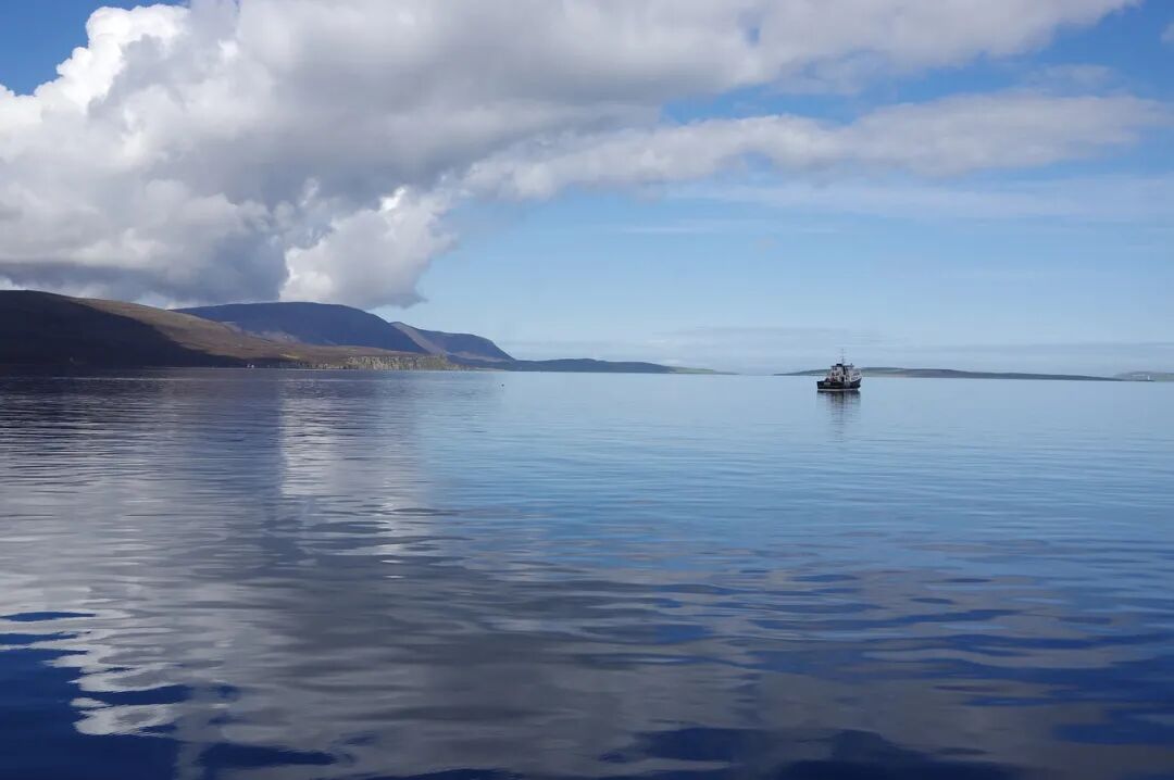 640?wx_fmt=jpeg&tp=webp&wxfrom=5&wx_lazy=1&wx_co=1